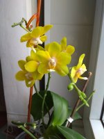 IMG_20210321_112434.jpg