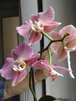 IMG_20210321_111838.jpg