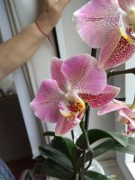 IMG_20210321_111942.jpg