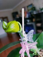 IMG20210321171316.jpg