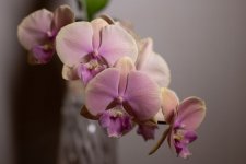 IMG_1547.jpg