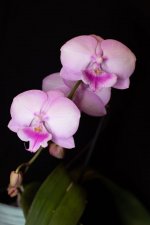 IMG_1430.JPG