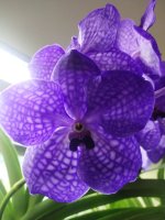 IMG_20210318_125309.jpg