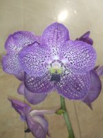 IMG_20210217_124706_Burst02.jpg