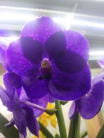IMG_20210318_125302_Burst04.jpg