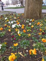 IMG_20210323_104327.jpg