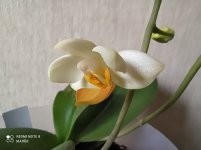 IMG_20210324_091704.jpg