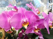 IMG_20210324_075637.jpg