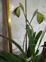 IMG_20210325_094404.jpg