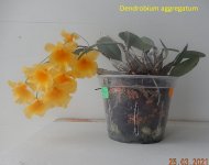 DSCN7991.JPG