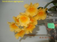 DSCN7994.JPG