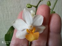 IMG_20210326_100206.jpg