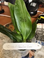 24feb2af-8294-494f-8d6f-019de3a8ba64.jpg