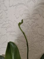 IMG_20210323_204143.jpg