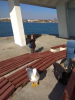 IMG_20210327_154010.jpg