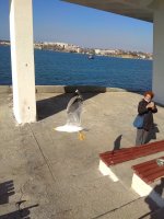 IMG_20210327_154207.jpg