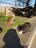 IMG_20210327_160054.jpg