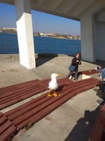 IMG_20210327_154053.jpg