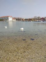 IMG_20210328_121147.jpg