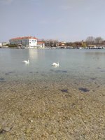 IMG_20210328_121155.jpg