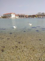 IMG_20210328_121251.jpg