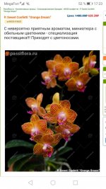 Screenshot_20200401_172353_com.android.chrome.jpg