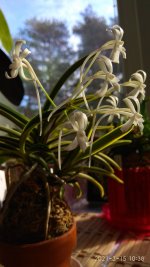 IMG_20210315_103851.jpg