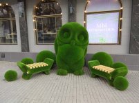 IMG_20210328_165821.jpg