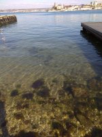IMG_20210327_160708.jpg