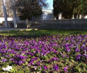 IMG_20210327_162119.jpg
