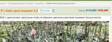 FE0328D6-B2E3-454E-9A28-7F9F69435EC5.jpeg
