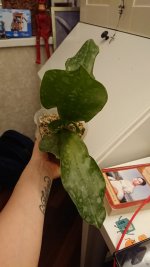 DSC_1448.JPG