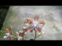 92D06B16-9EEF-4951-AC76-654221D21D82.png