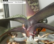 DSCN8020.JPG