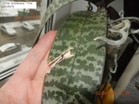 DSCN8022.JPG