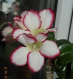 DSCN6895.JPG