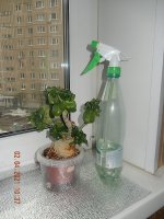 DSCN8017.JPG