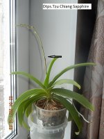 DSCN8012.JPG