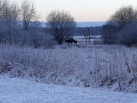 IMG-20201201-WA0011.jpg
