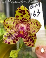 mainshow_taiwan_CLB0JBOhun4.jpg