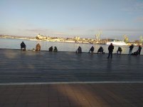IMG_20210403_175048.jpg
