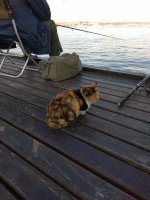 IMG_20210403_175145.jpg