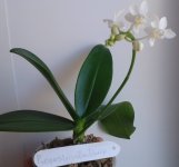 20120105_063218.jpg