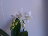 20120105_063235.jpg