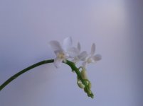20120105_063312.jpg