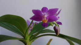 20120105_061516.jpg
