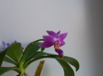 20120105_061522.jpg