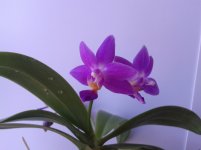 20120105_063930.jpg