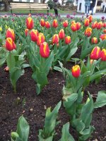 IMG_20210408_172241.jpg