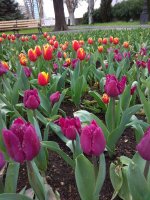 IMG_20210408_172328.jpg